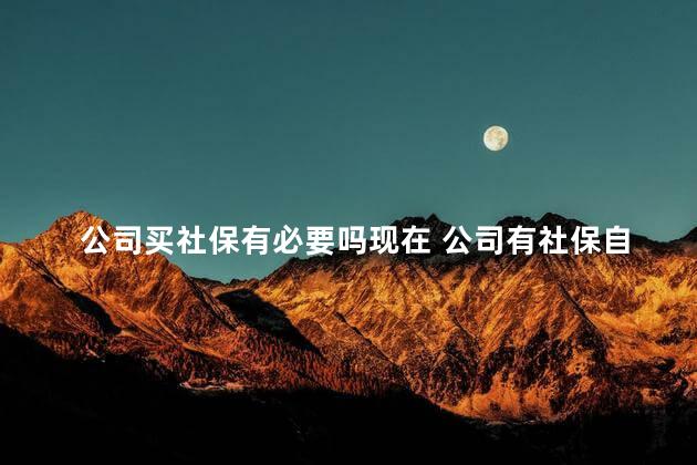 公司买社保有必要吗现在 公司有社保自己还可以买吗